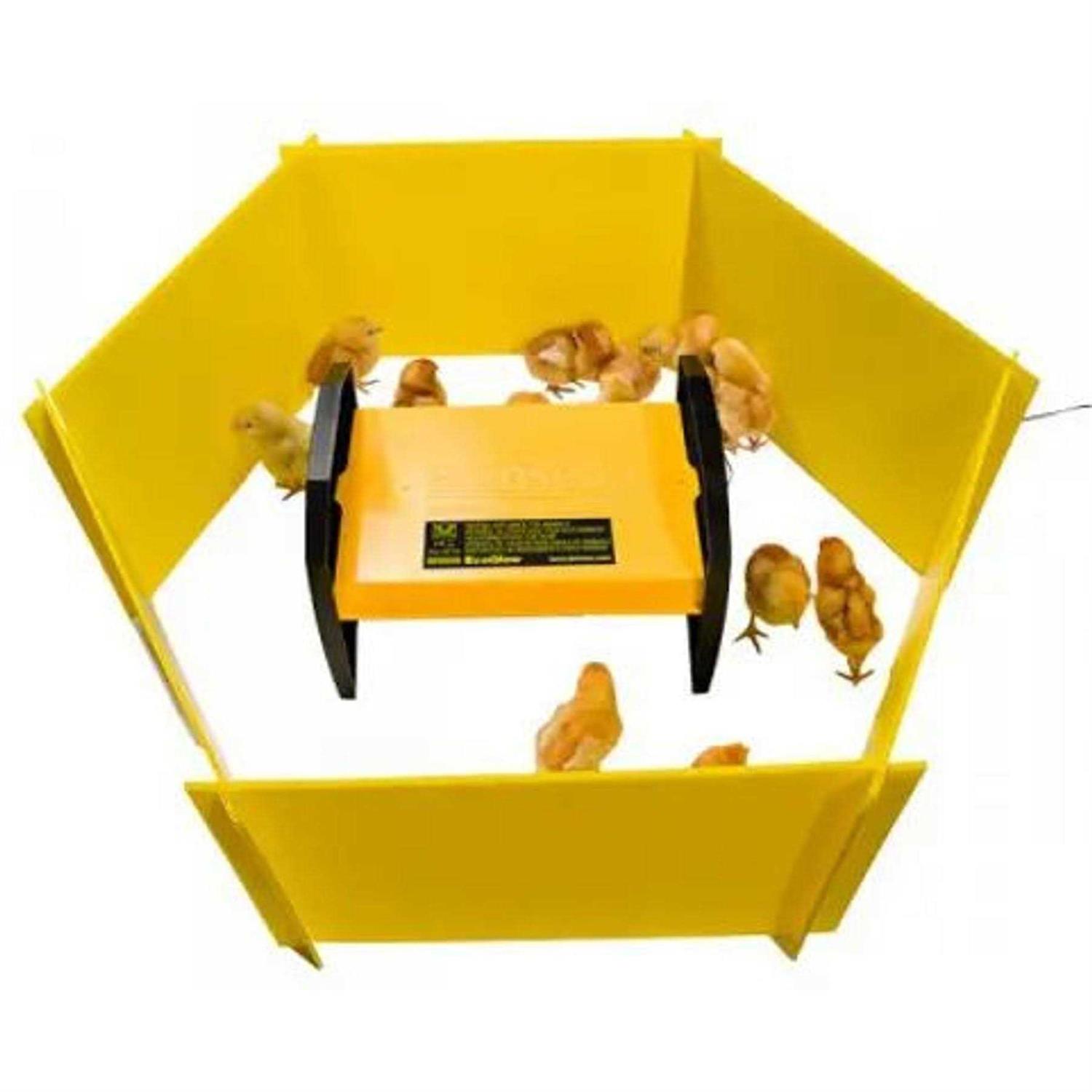 Brinsea Chick Brooder Enclosure Panels - Healthber