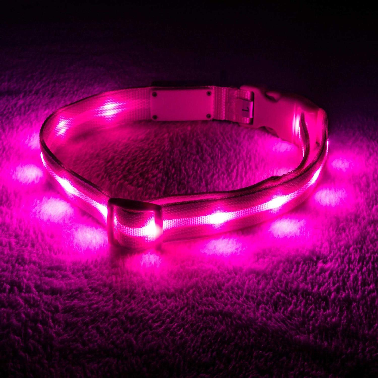 Blazin LED Light Up Dog Collar 1,000 Feet of Visibility - Healthber