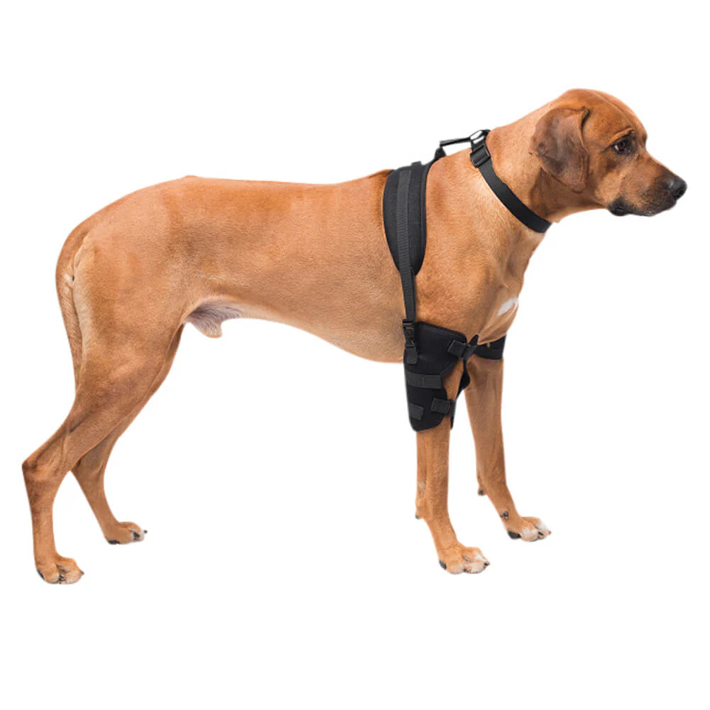Caldera Pet Therapy Elbow Wrap with Therapy Gel, Large - Healthber
