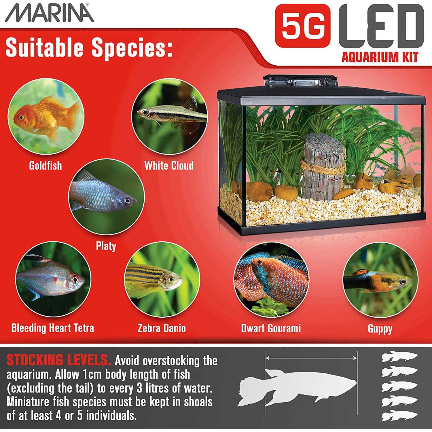 Marina 5G LED Glass Aquarium Kit - Healthber