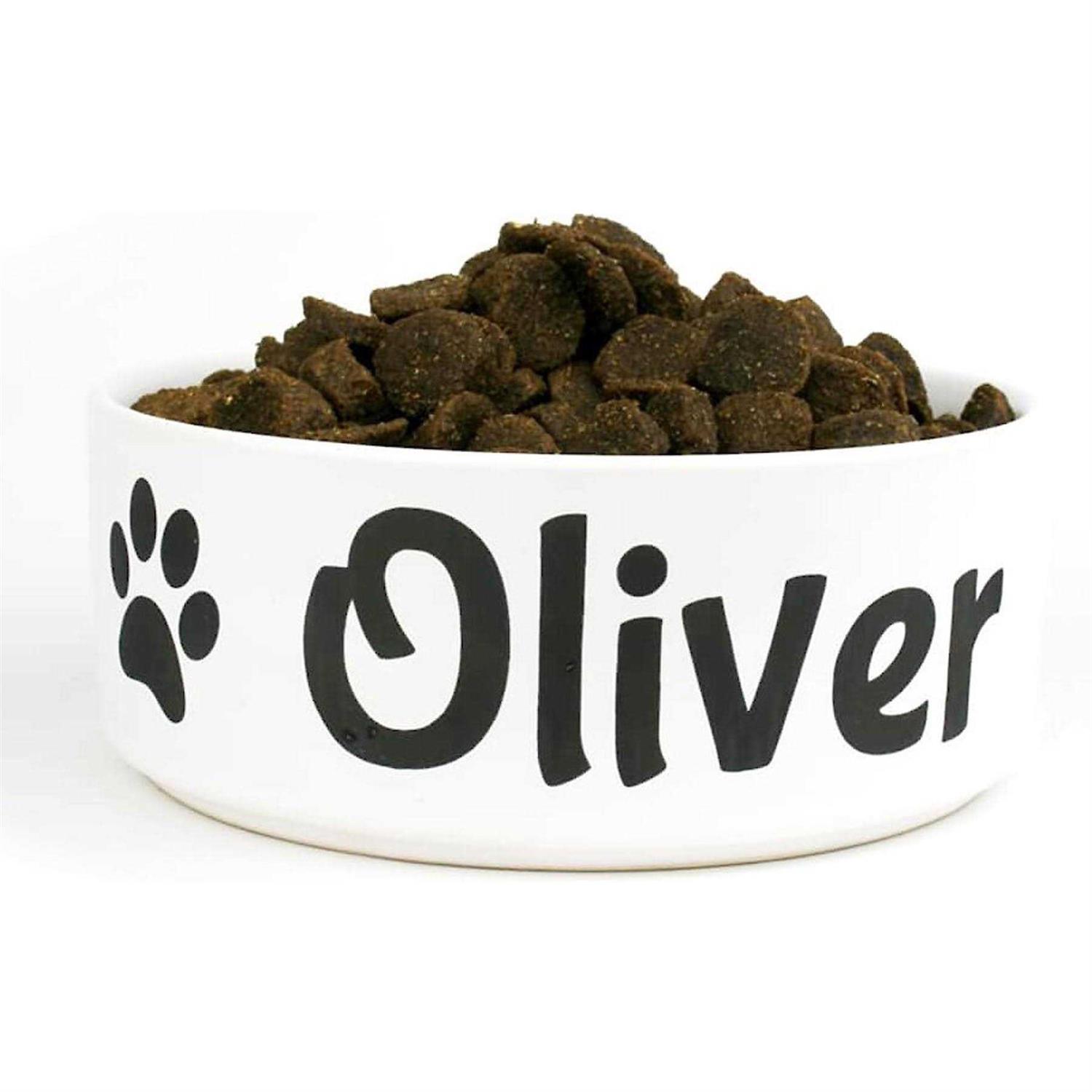 GoTags Personalized Dog Bowl - Healthber