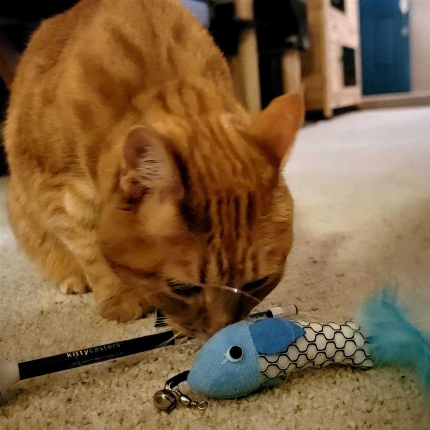 Kid Casters Cat Caster Fishing Pole Toy Tangle Free Retractable & Easy to Store. Includes Two Interchangeable Teaser Toys - Healthber
