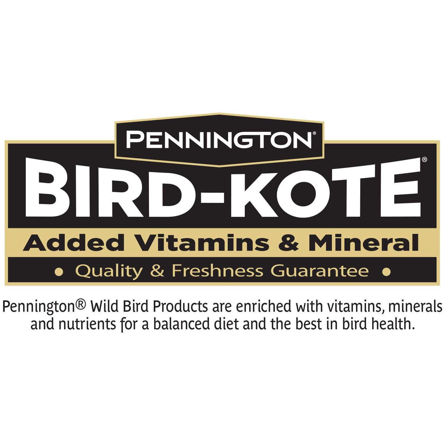 Pennington Ultra Songbird Blend Bird Seed - Healthber