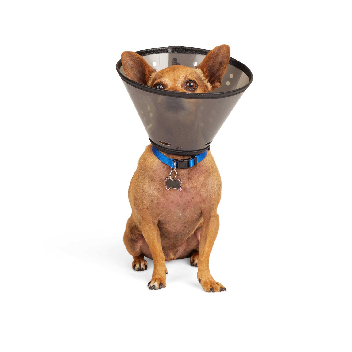 Well & Good Recovery Cone Collar - Healthber