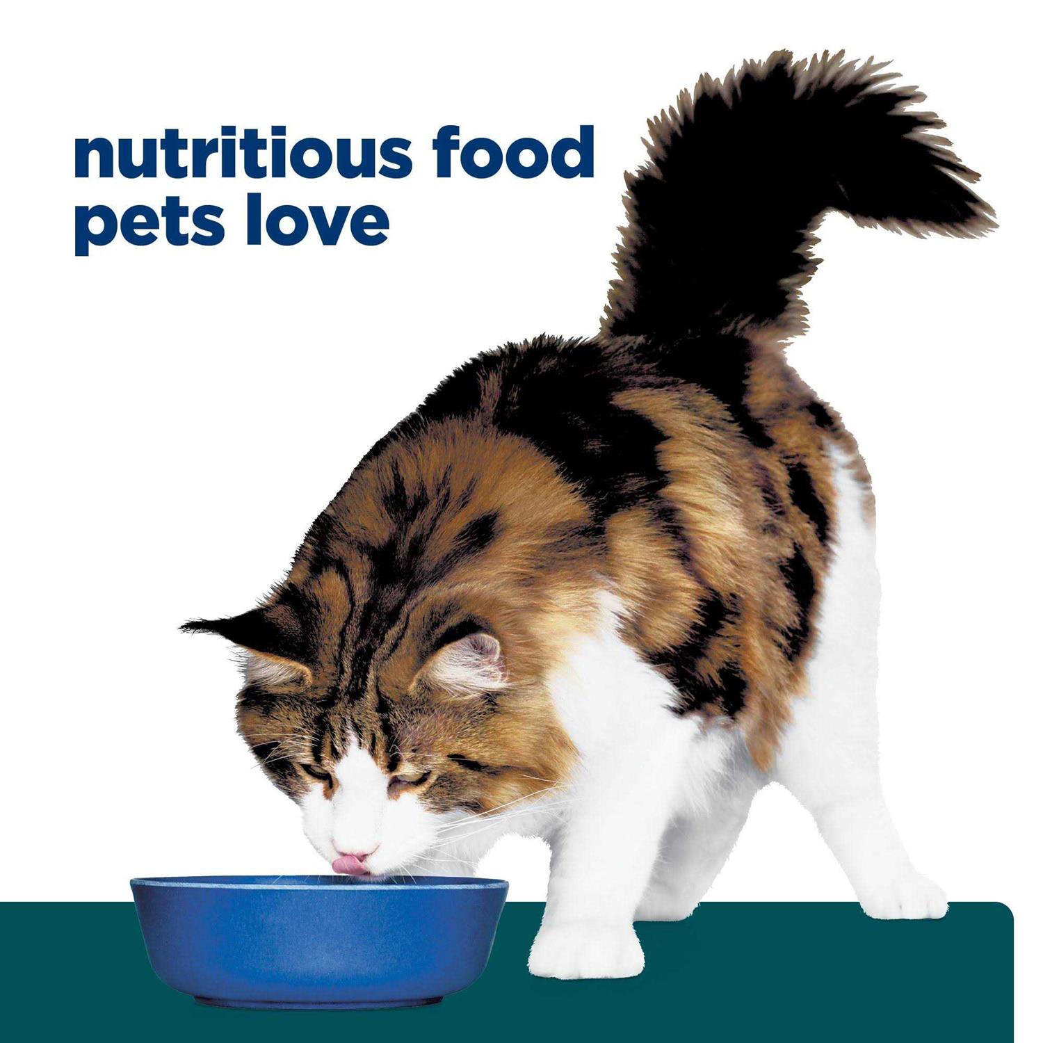 Prescription Diet w/d Digestive/Weight Management Feline Dry Food - Healthber