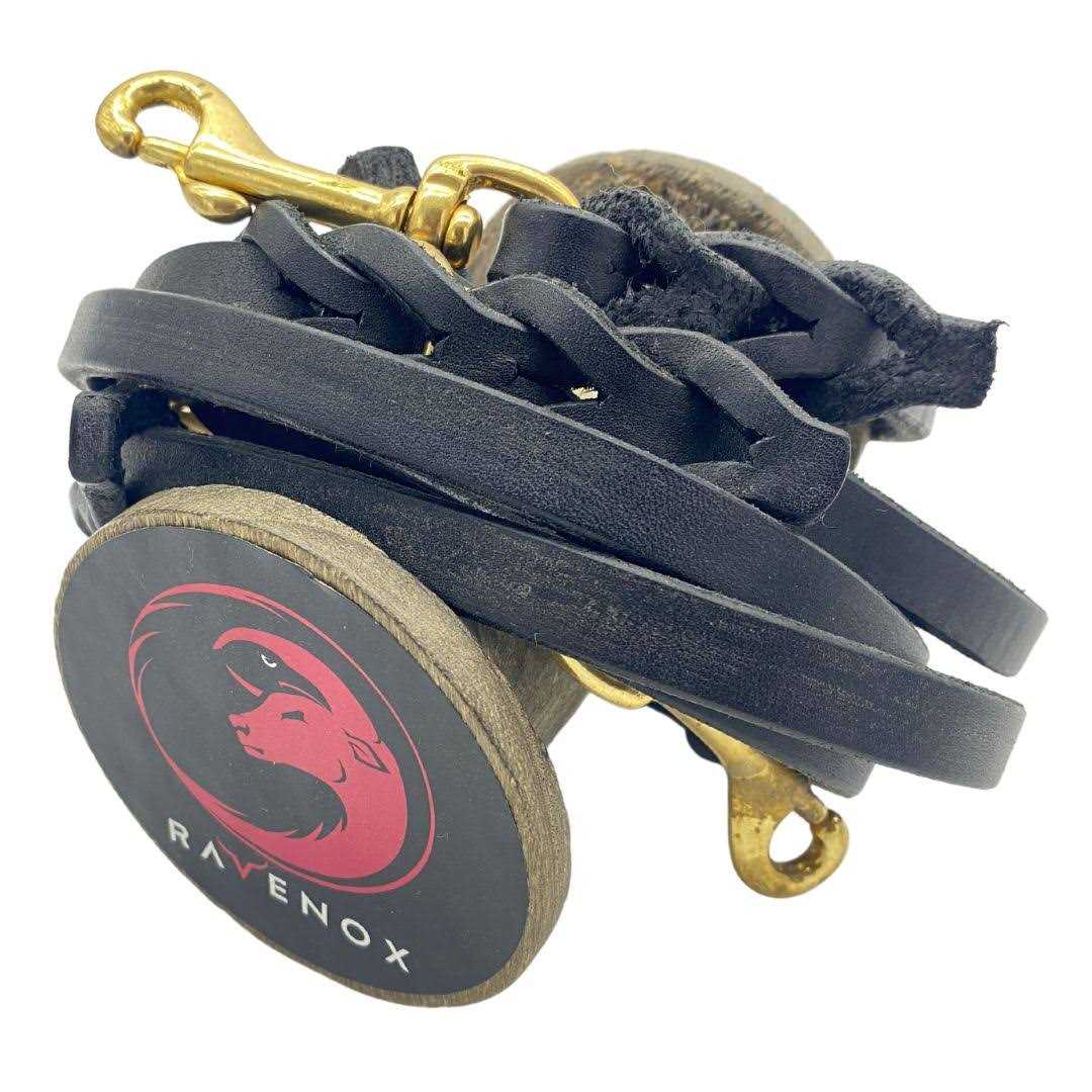 Multifunctional Leather Dog Leash - Healthber