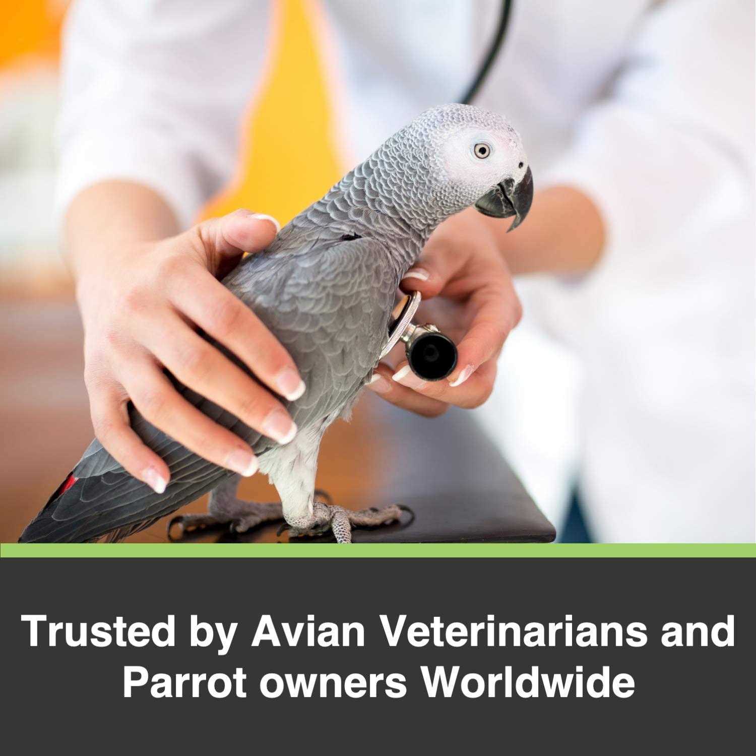 Tropimix Cockatiel Lovebird - Healthber