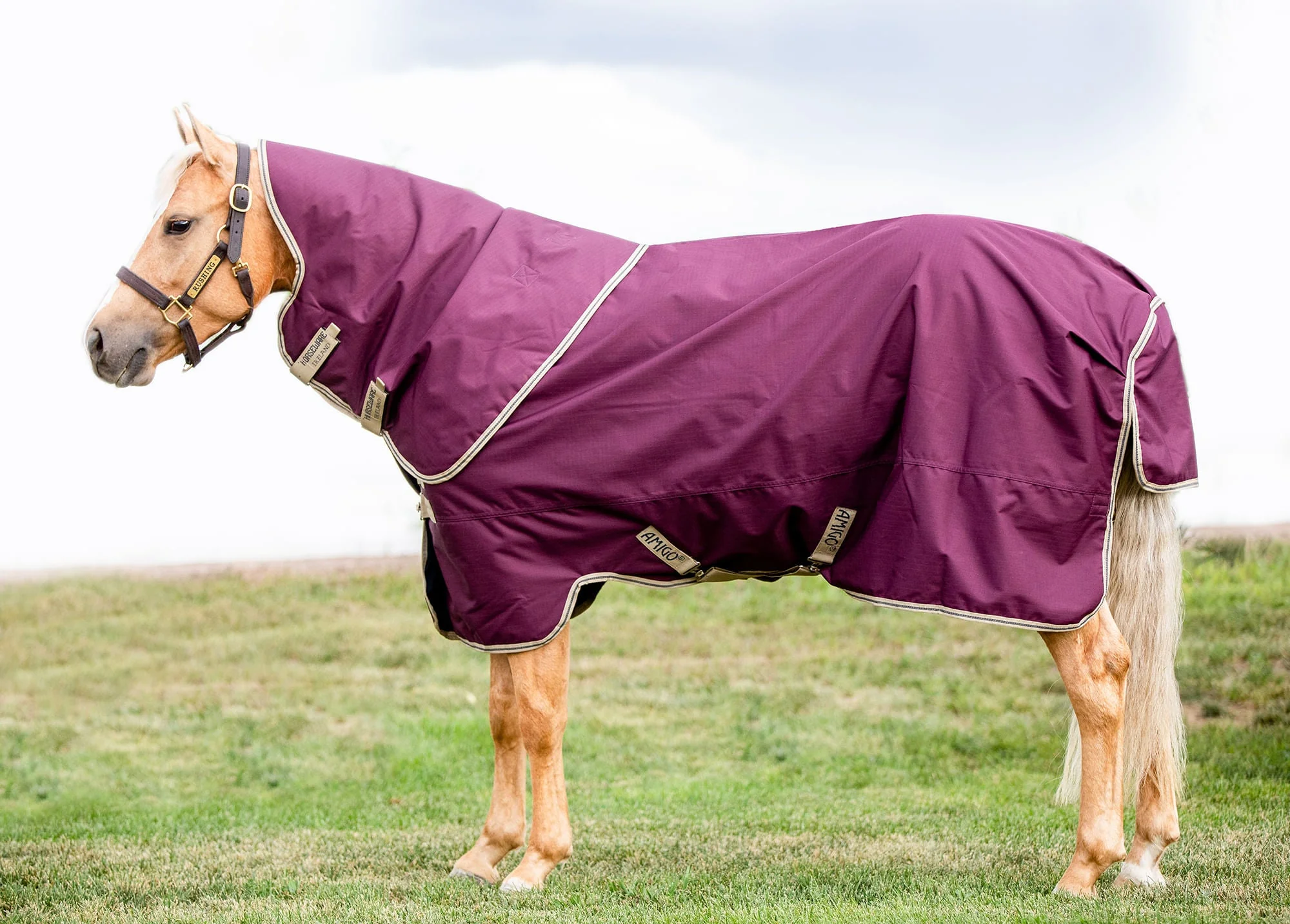 Amigo Hero Ripstop Plus Turnout, Fig/Navy - Healthber