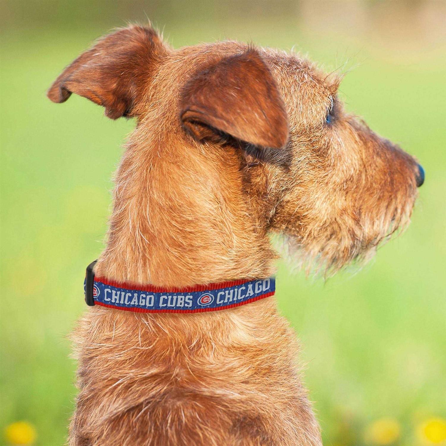 MLB Chicago Cubs Dog Collar - Healthber