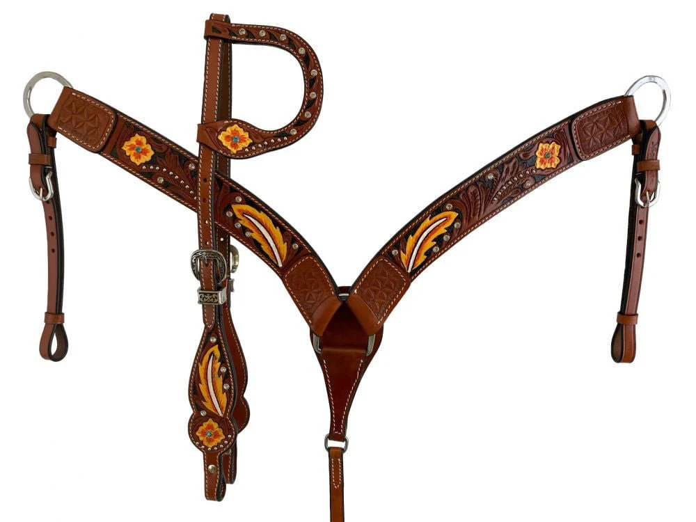 Showman Painted Floral & Feather Tack Set - Healthber