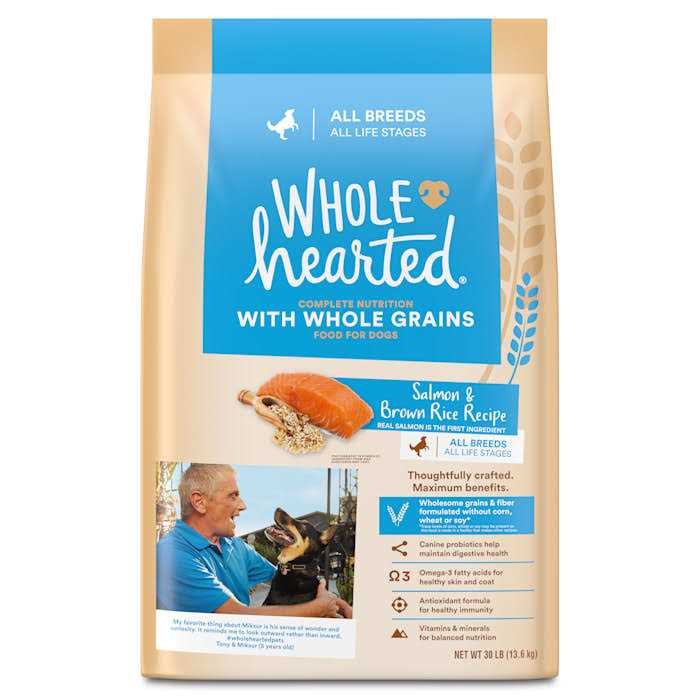 WholeHearted Whole Grains Salmon Recipe Dry Dog Food - Healthber