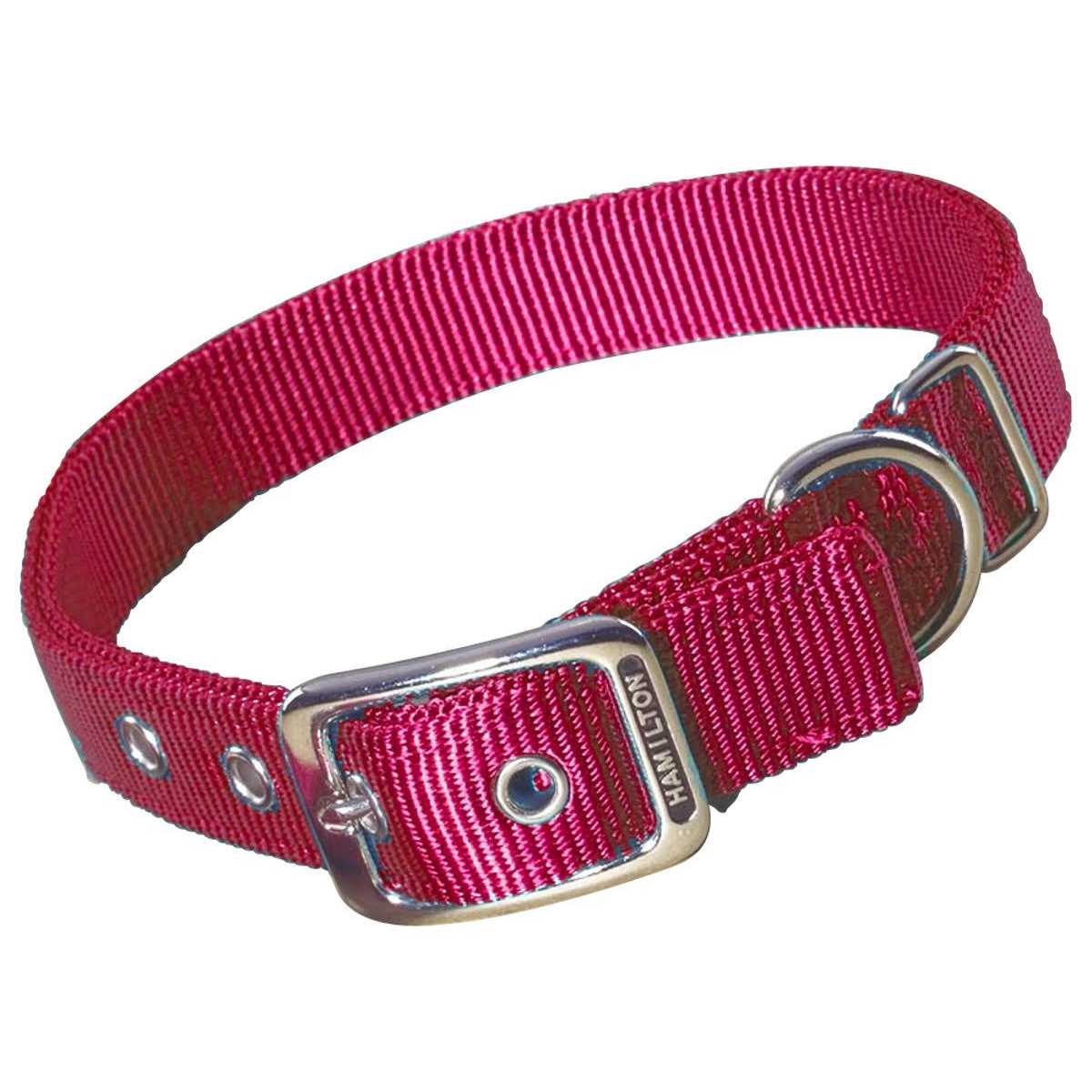 Hamilton Thick Nylon Dog Collar - Healthber