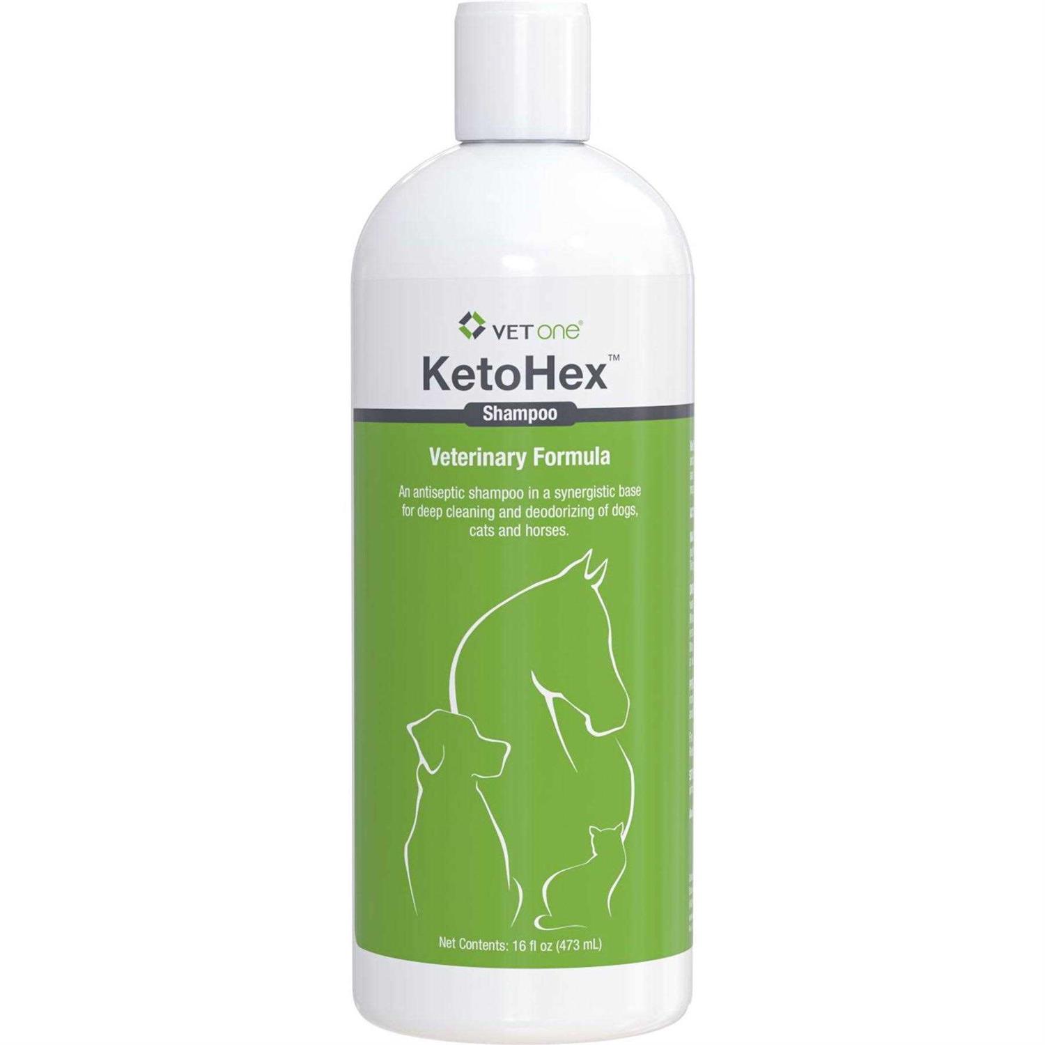 VetOne KetoHex Shampoo Bottle - Healthber