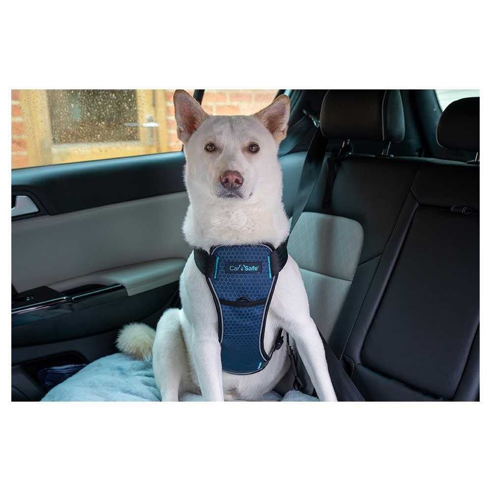 Carsafe Crash Tested Dog Harness - Healthber