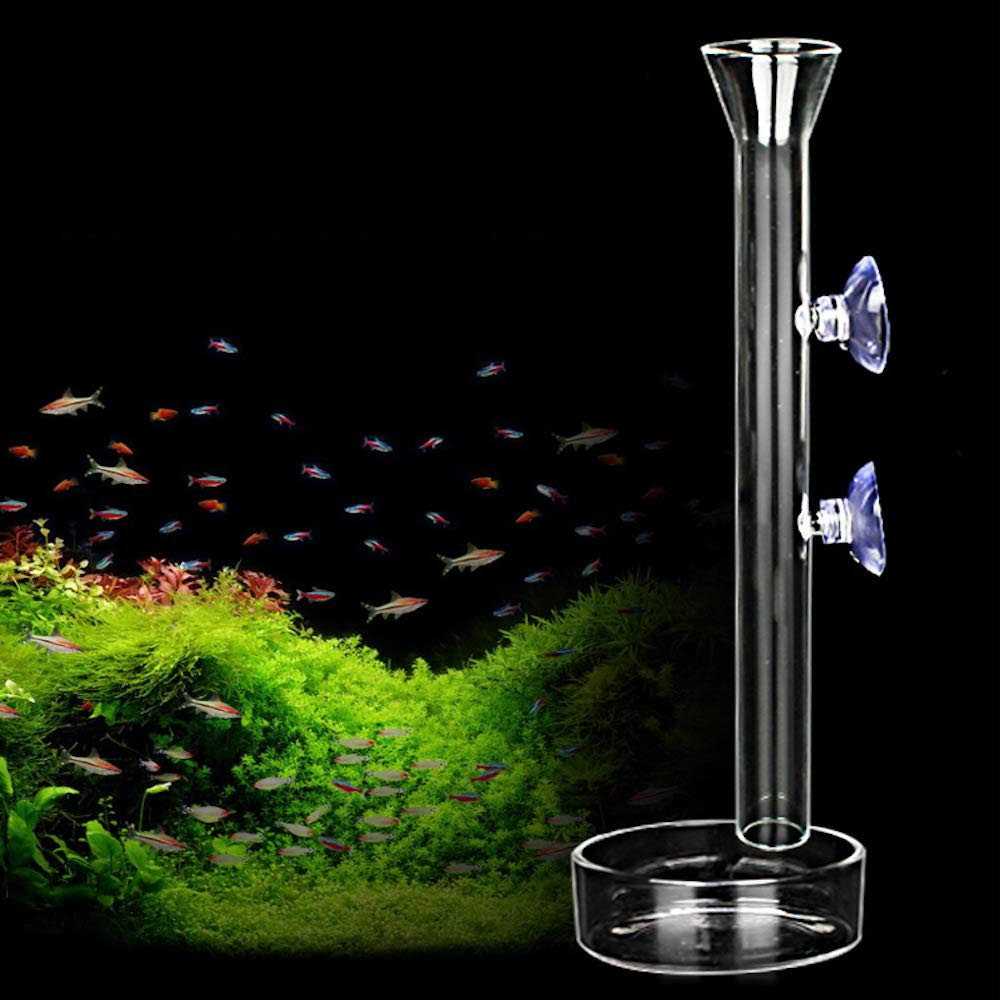 AnxunJim Aquarium Shrimp Feeding Tube and Dish Clear Crystal Glass Fish Tank Shrimp Feeder Tube Tray - Healthber