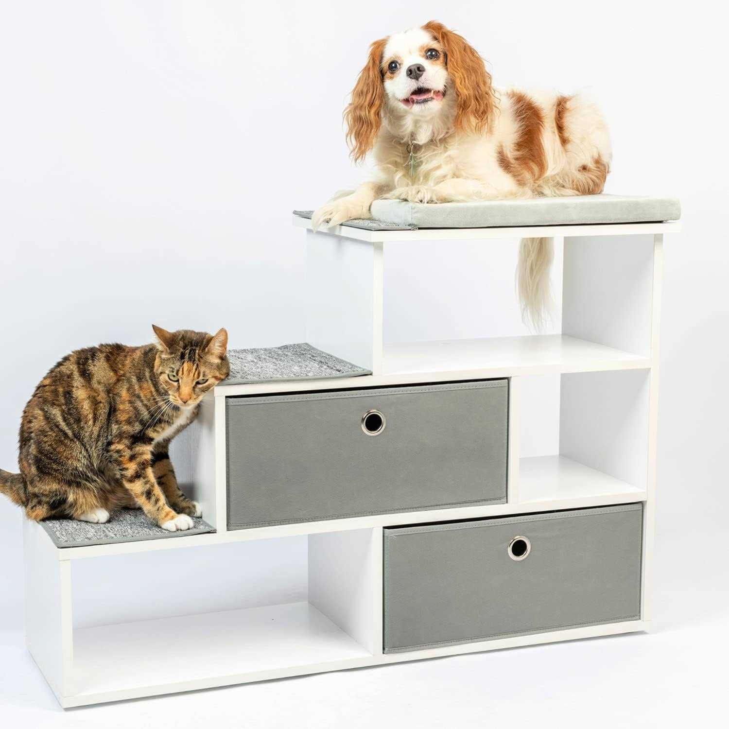 PetFusion Pet Step Window Perch Bookshelf - Healthber