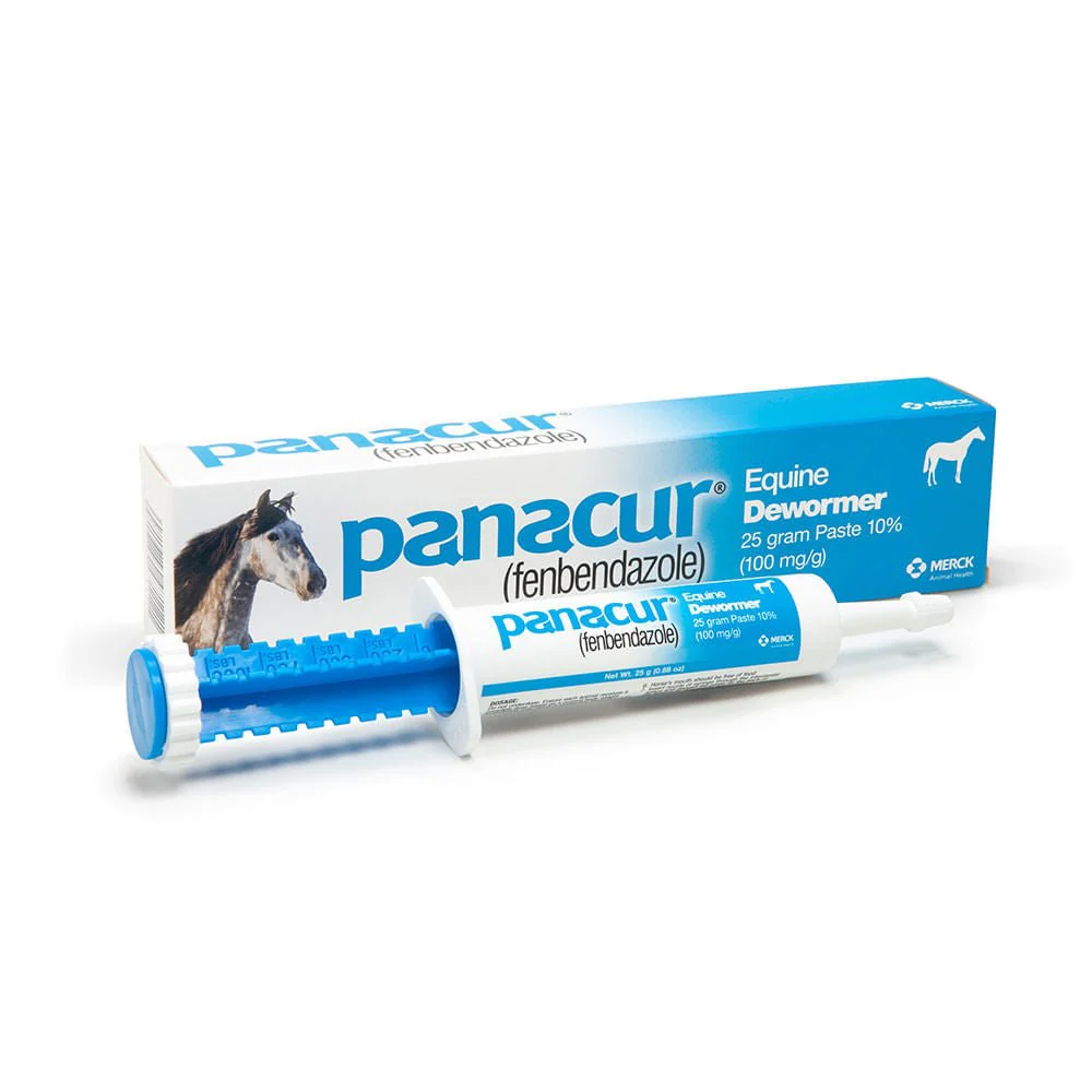 Panacur Equine Fenbendazole Dewormer Paste, 25 g - Healthber