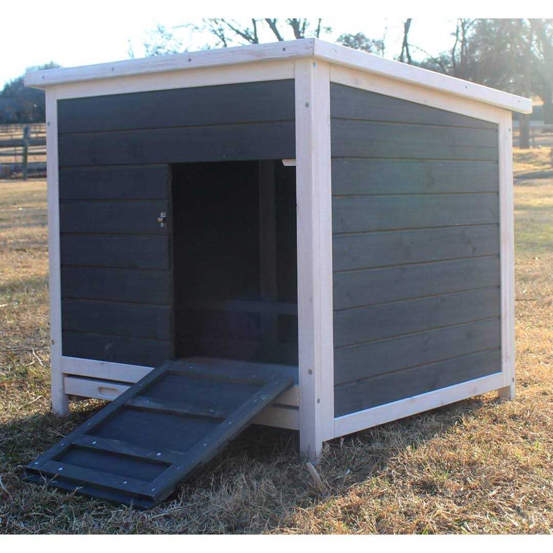 Nesting & Roosting Box Zylina - Healthber