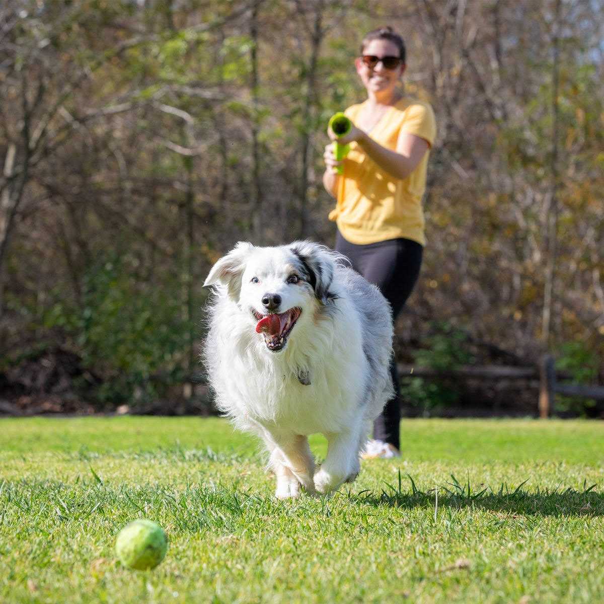 Hyper Pet K9 Kannon Ball Launcher - Healthber