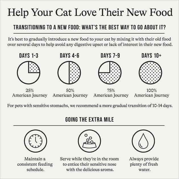 American Journey Recipe Salmon Grain-Free Dry Cat Food - Healthber