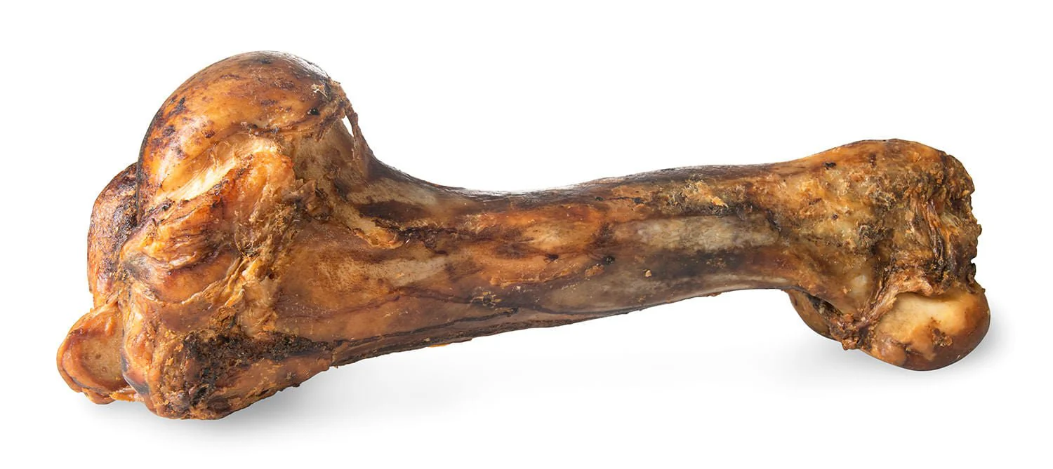 ChewMax Dino Beef Bone - Healthber