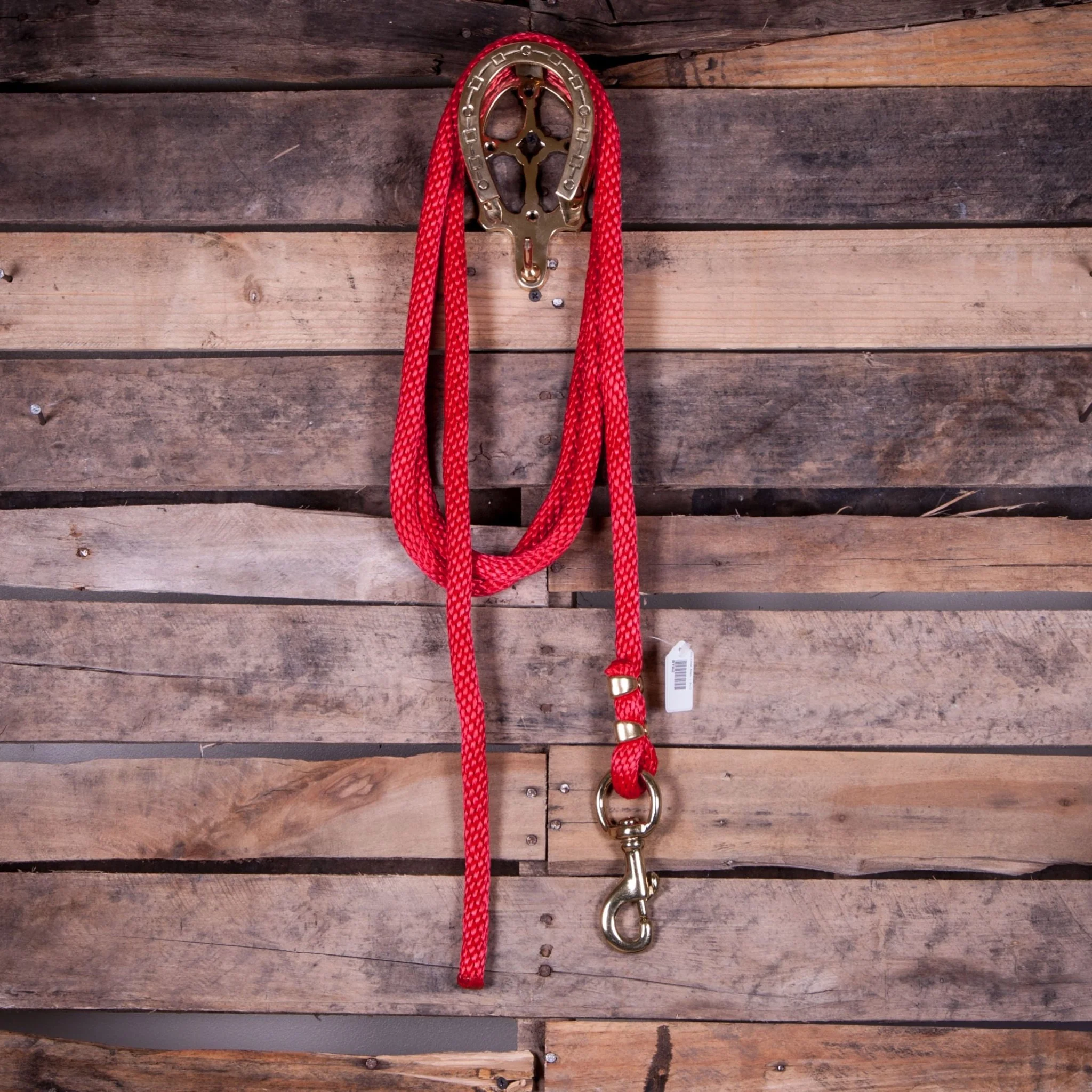 Poly Lead Rope with Bolt Snap, 10'L - Healthber