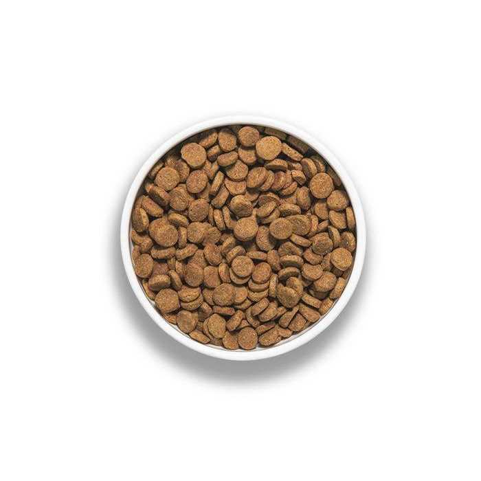 Inception Pork Recipe Dog Food - Healthber