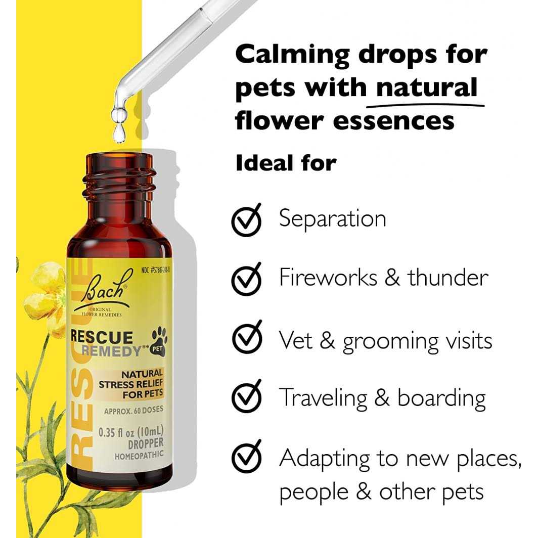 Bach Rescue Remedy - Healthber