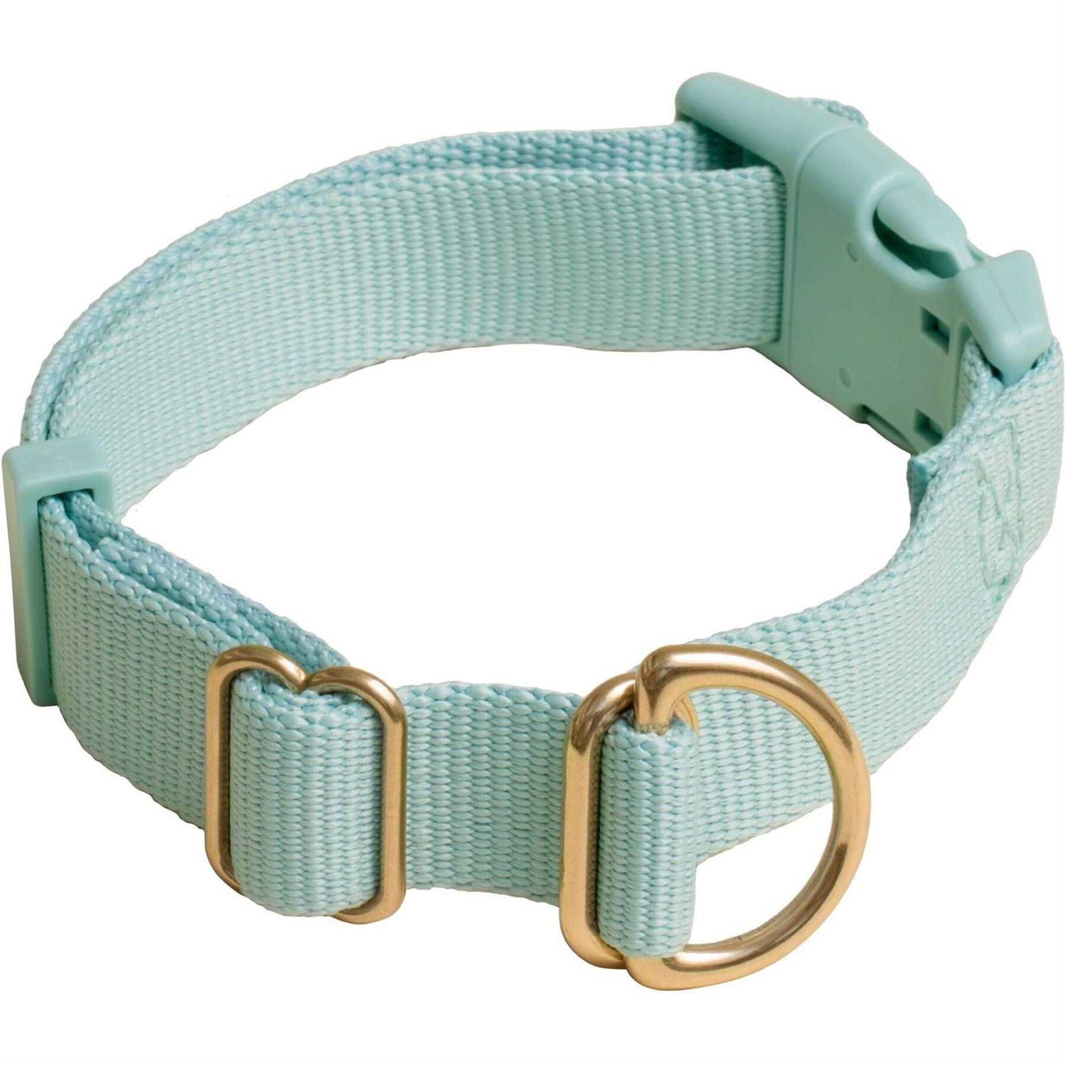 Awoo Pack Standard Dog Collar - Healthber