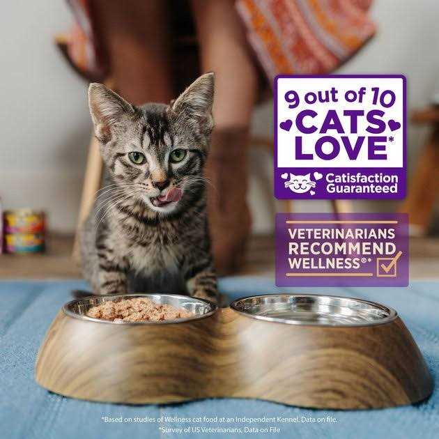 Wellness Chicken & Turkey Pate Complete Health Favorites Variety Pack - Healthber