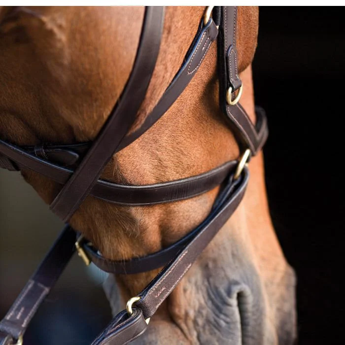 Rambo Micklem Multi Horse Bridle, Dark Havana - Healthber