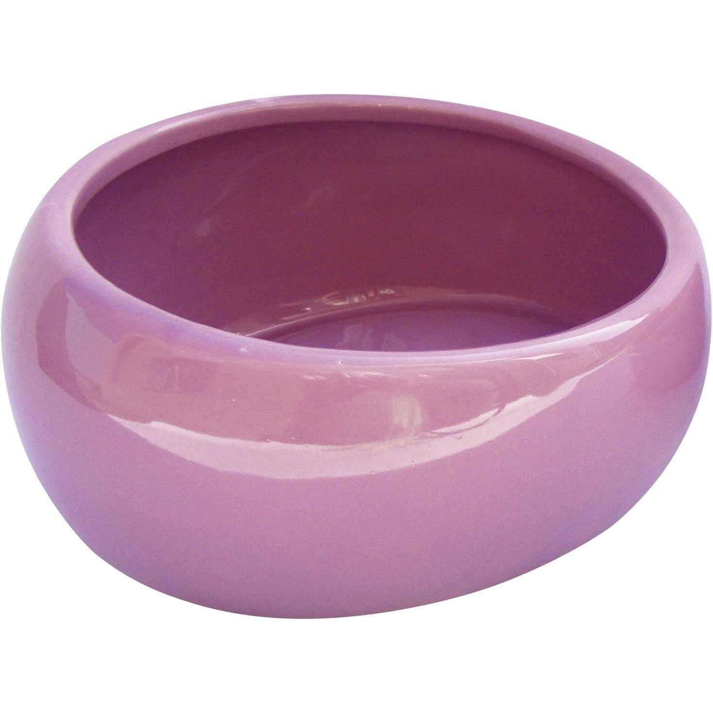 Ergonomic Dish Living World - Healthber