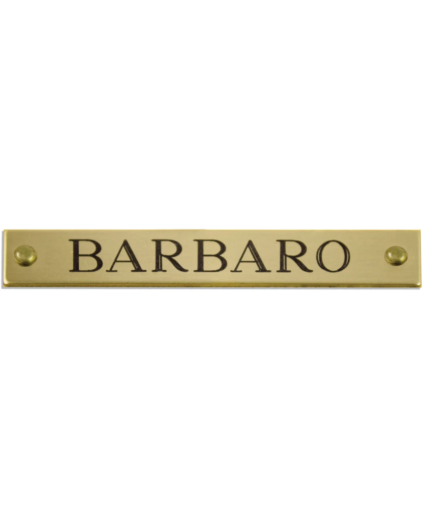 Beveled Brass Halter Plates - Healthber