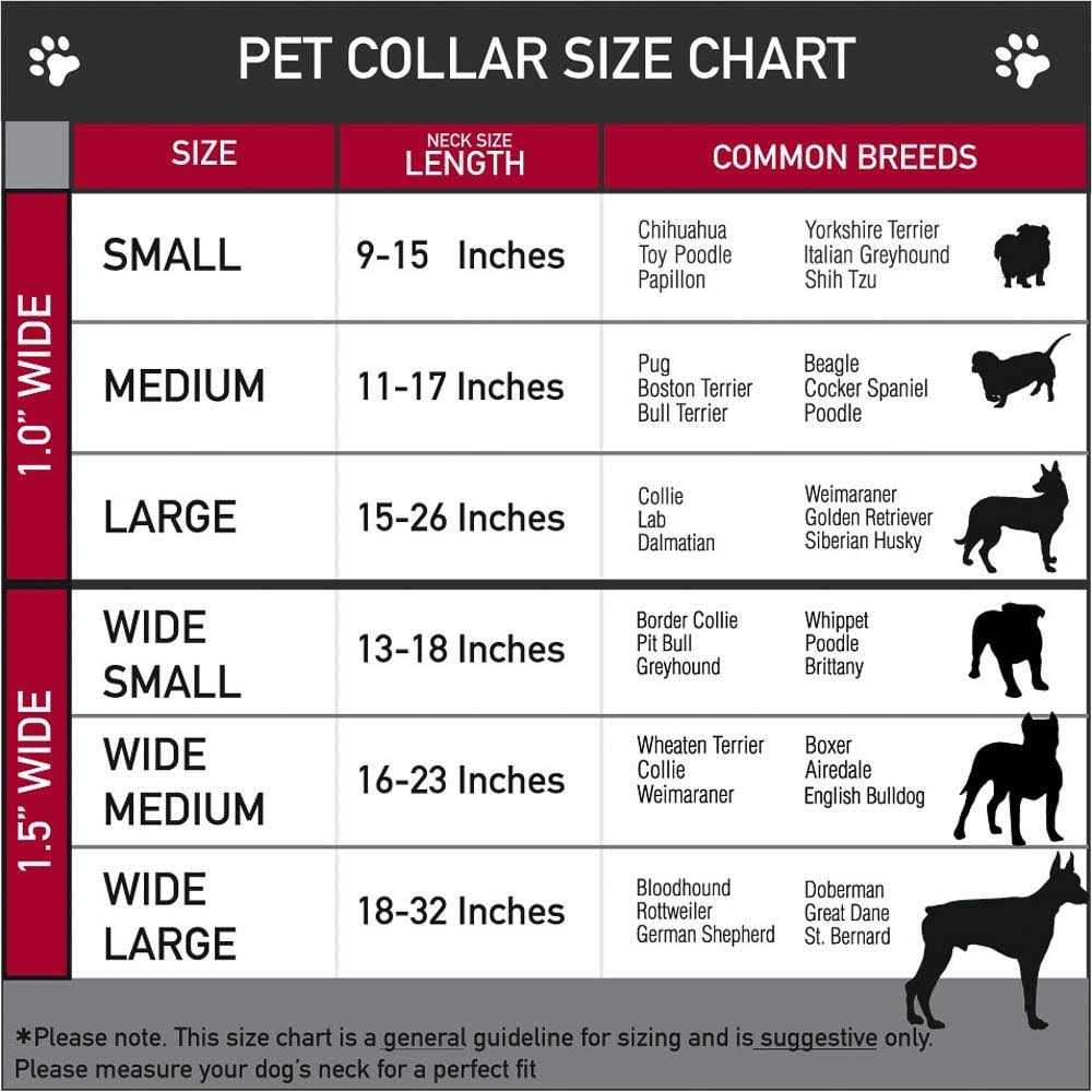 Buckle Down Dog Collar Seatbelt Buckle - Healthber