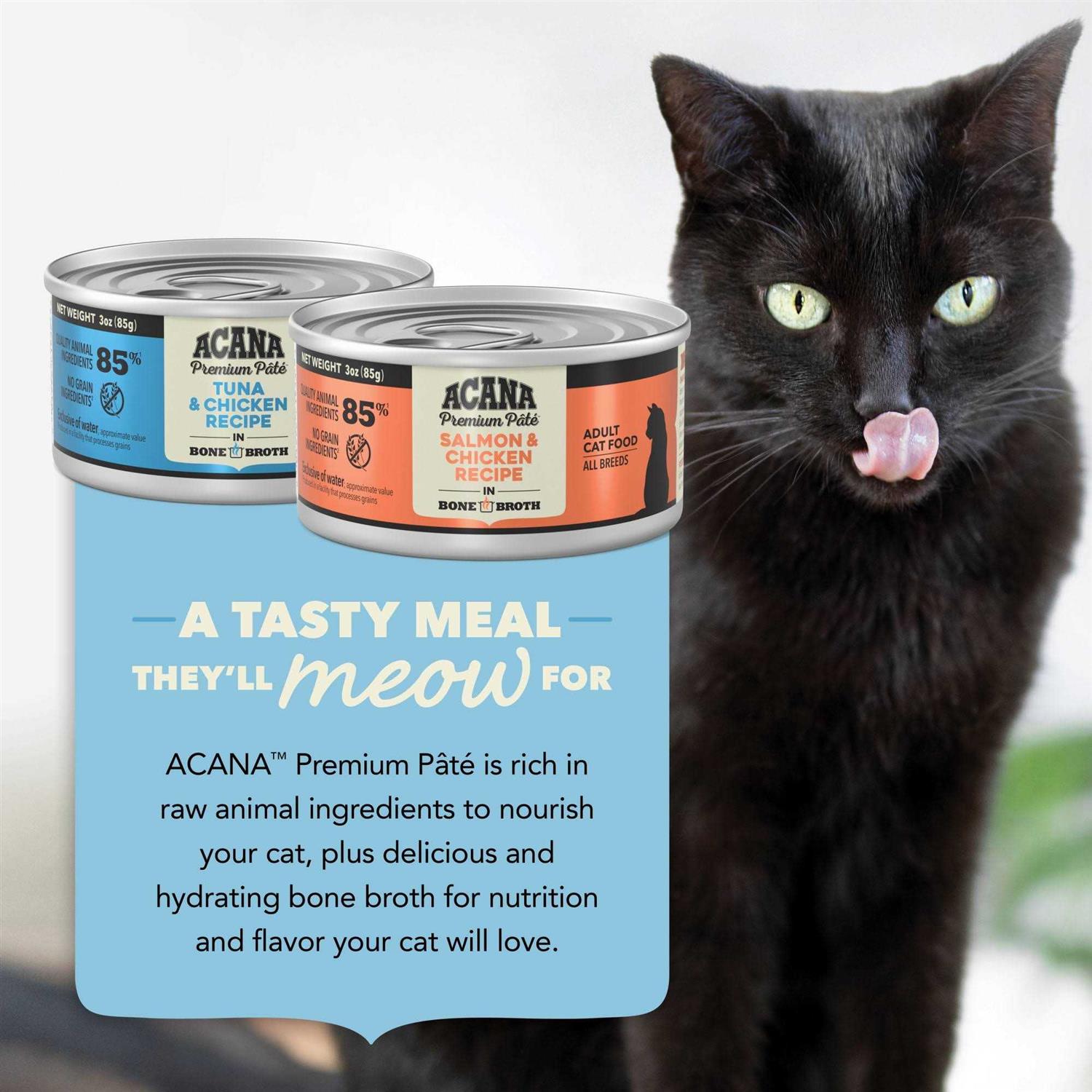ACANA Premium Pate Variety Pack Wet Cat Food - Healthber