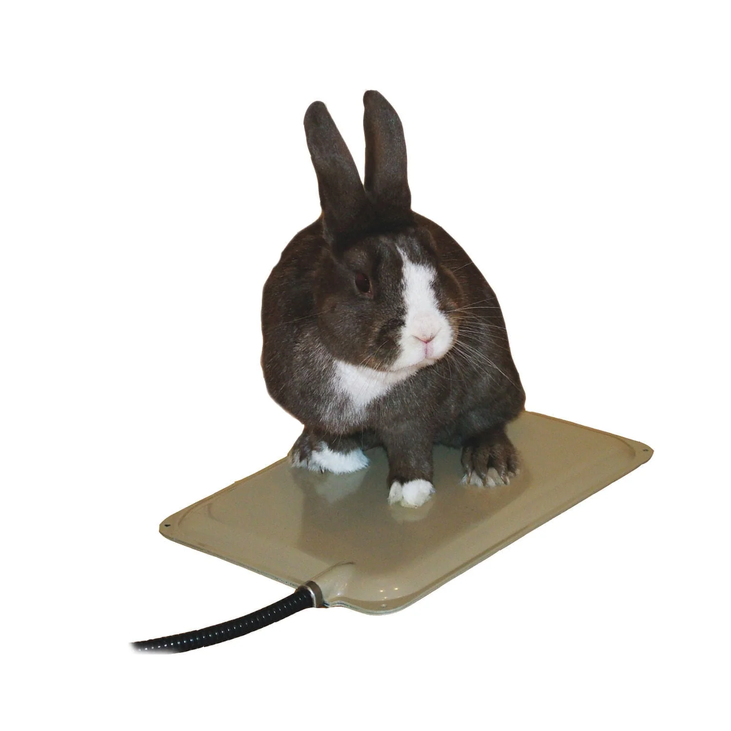 K&H Small Animal Heated Pad (& Accessories) - Healthber