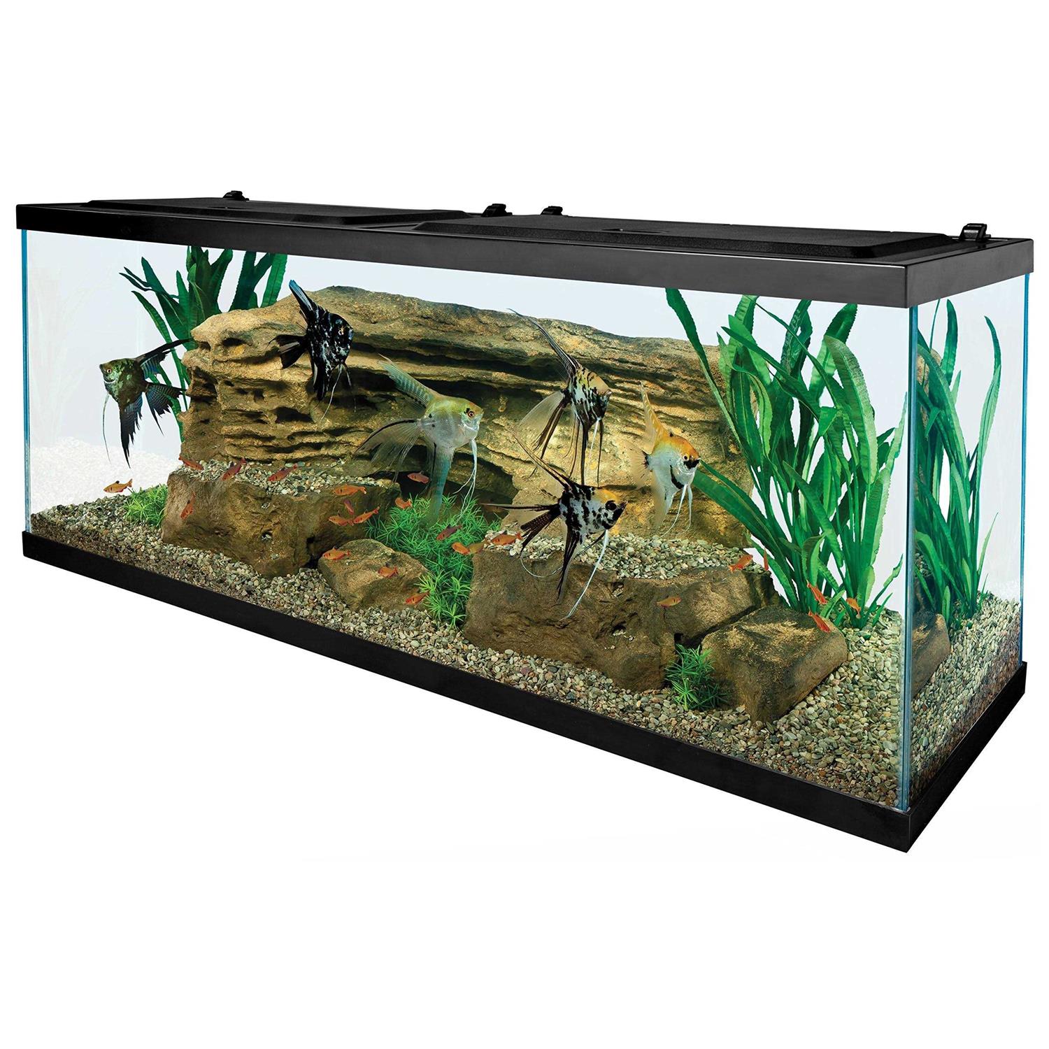 Tetra 55-Gallon Starter Aquarium with Net - Healthber