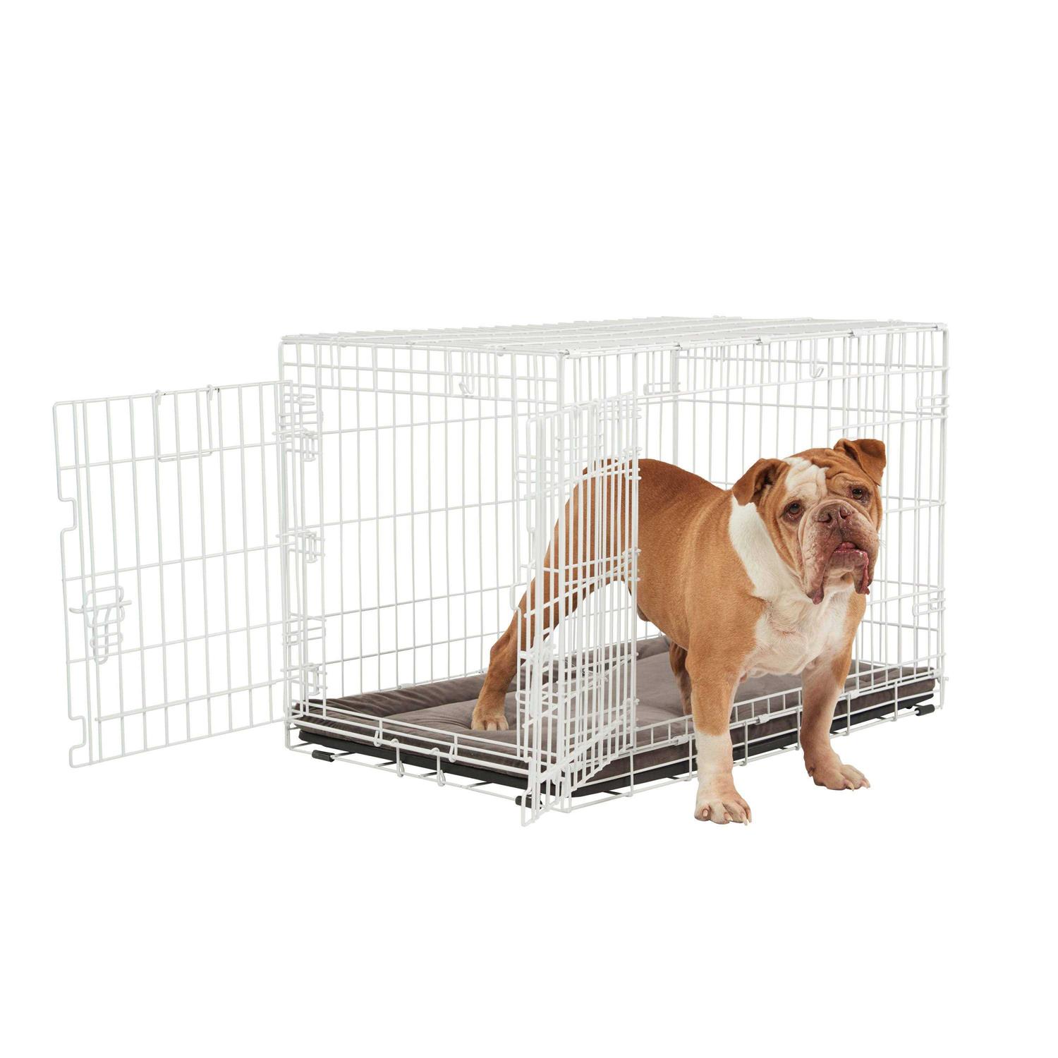 EveryYay White 2-Door Dog Crate H - Healthber