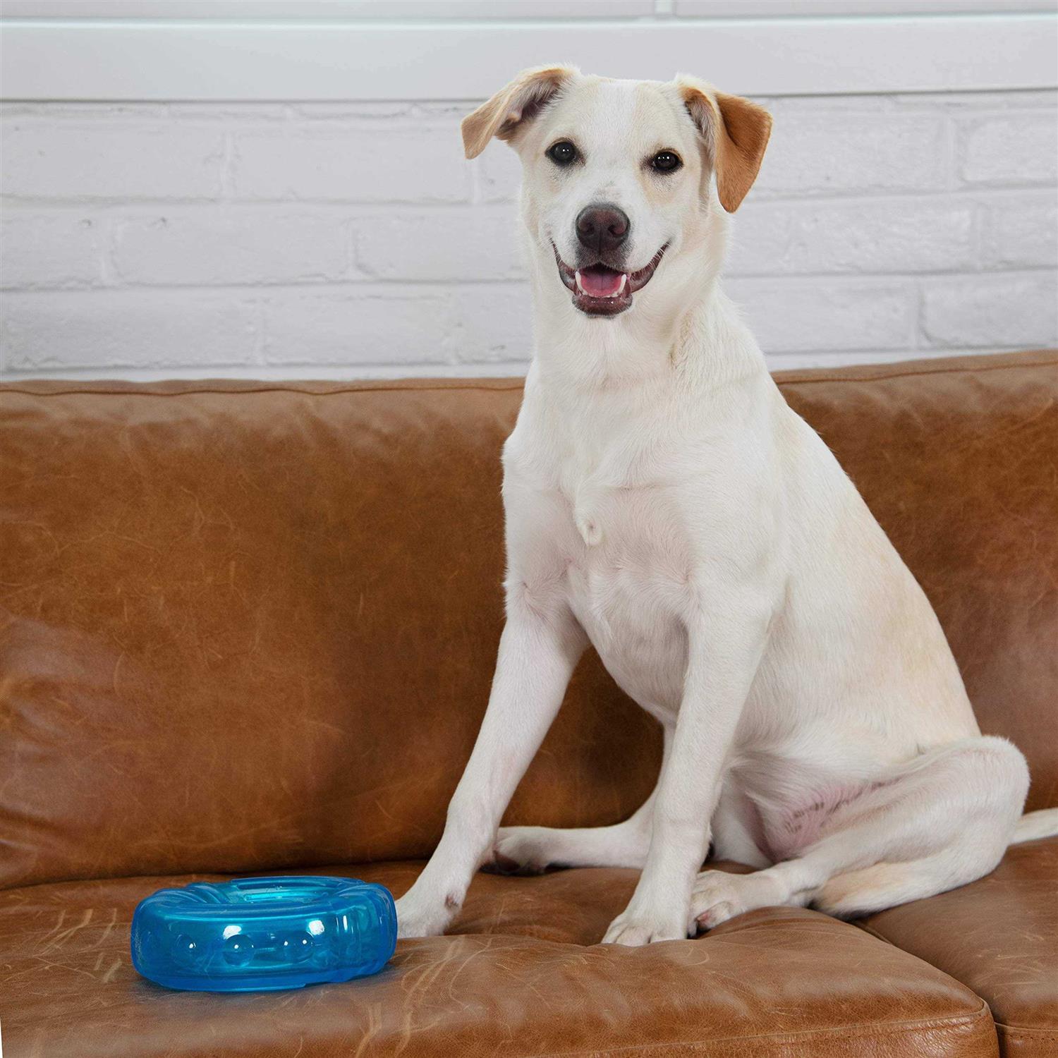 Petstages Orka Tire Dog Chew Toy - Healthber