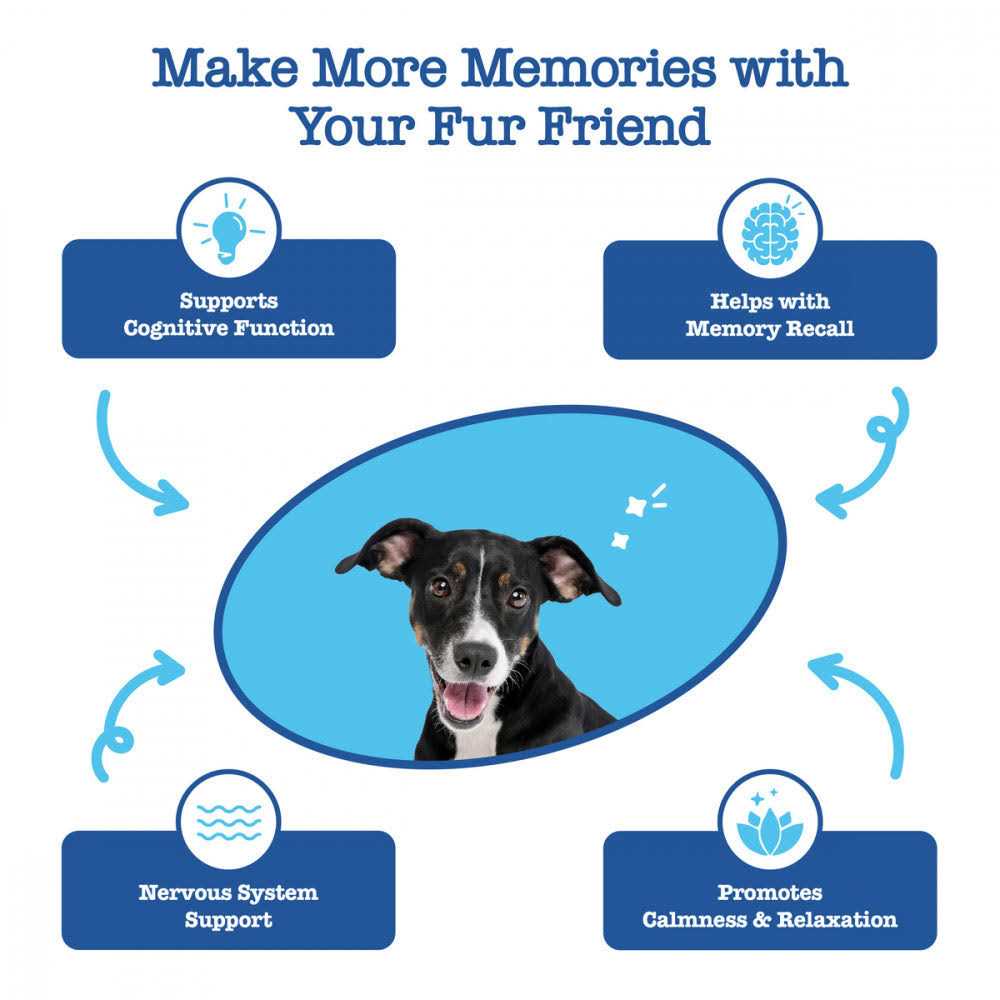 Zesty Paws Senior Advanced Cognition Bites - Healthber