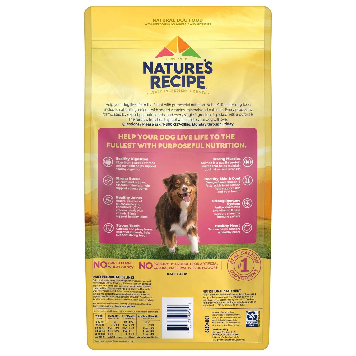 Nature’s Recipe Grain Free Salmon Sweet Potato & Pumpkin Recipe Dry Dog Food - Healthber