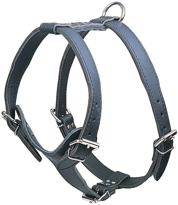 Latigo Leather Medium Harnesses, Plain - Healthber