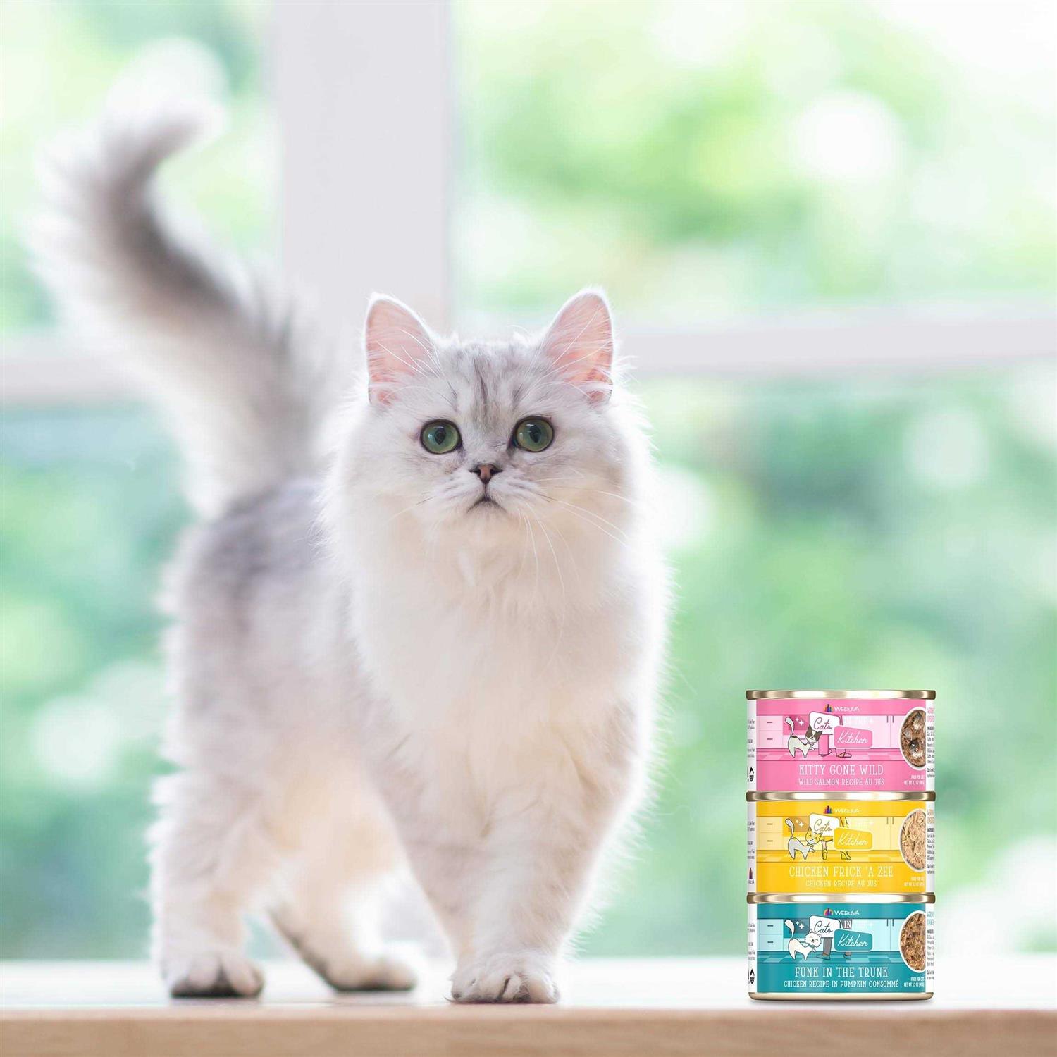 Weruva Cats in the Kitchen Originals Word From the Bird! Wet Cat Food Variety Pack - Healthber