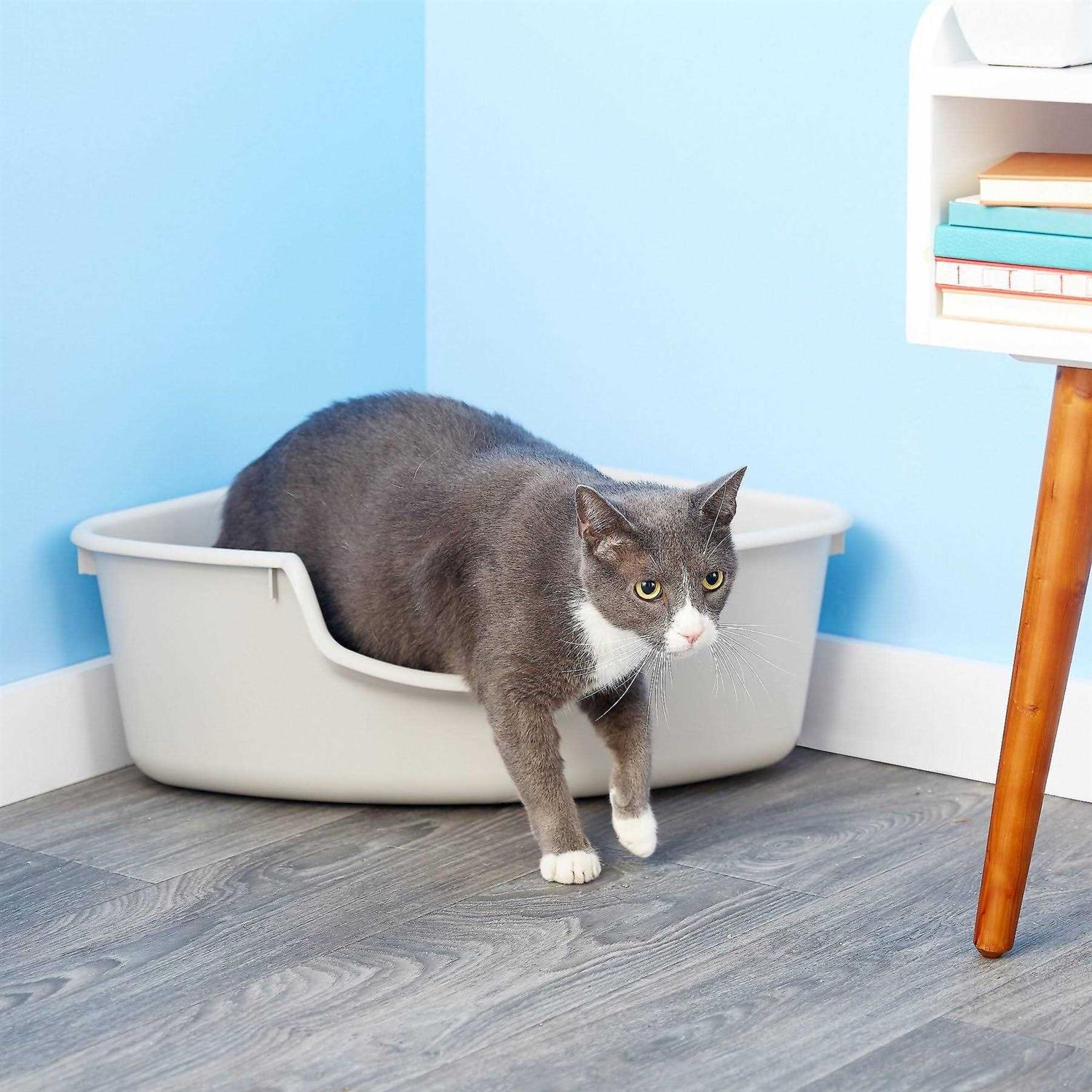 SmartCat Corner Litter Box - Healthber