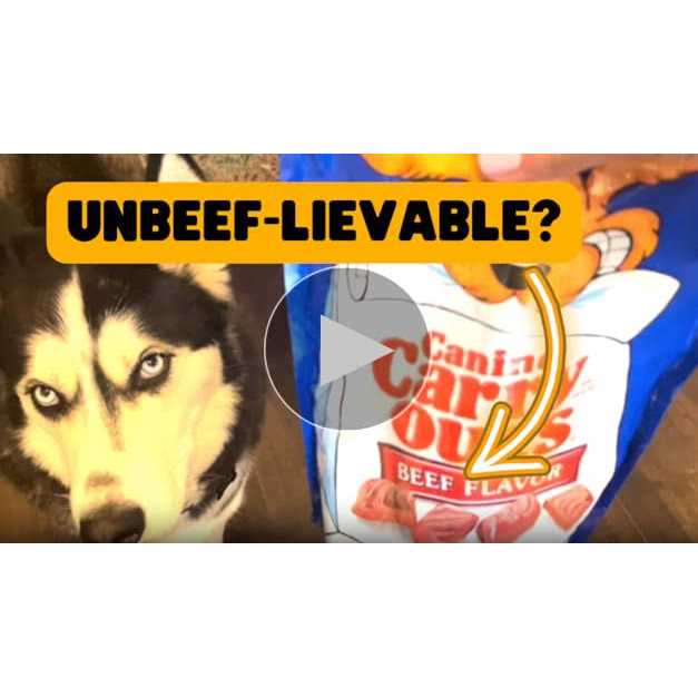Canine Carry Outs Beef Flavor Dog Treats - Healthber