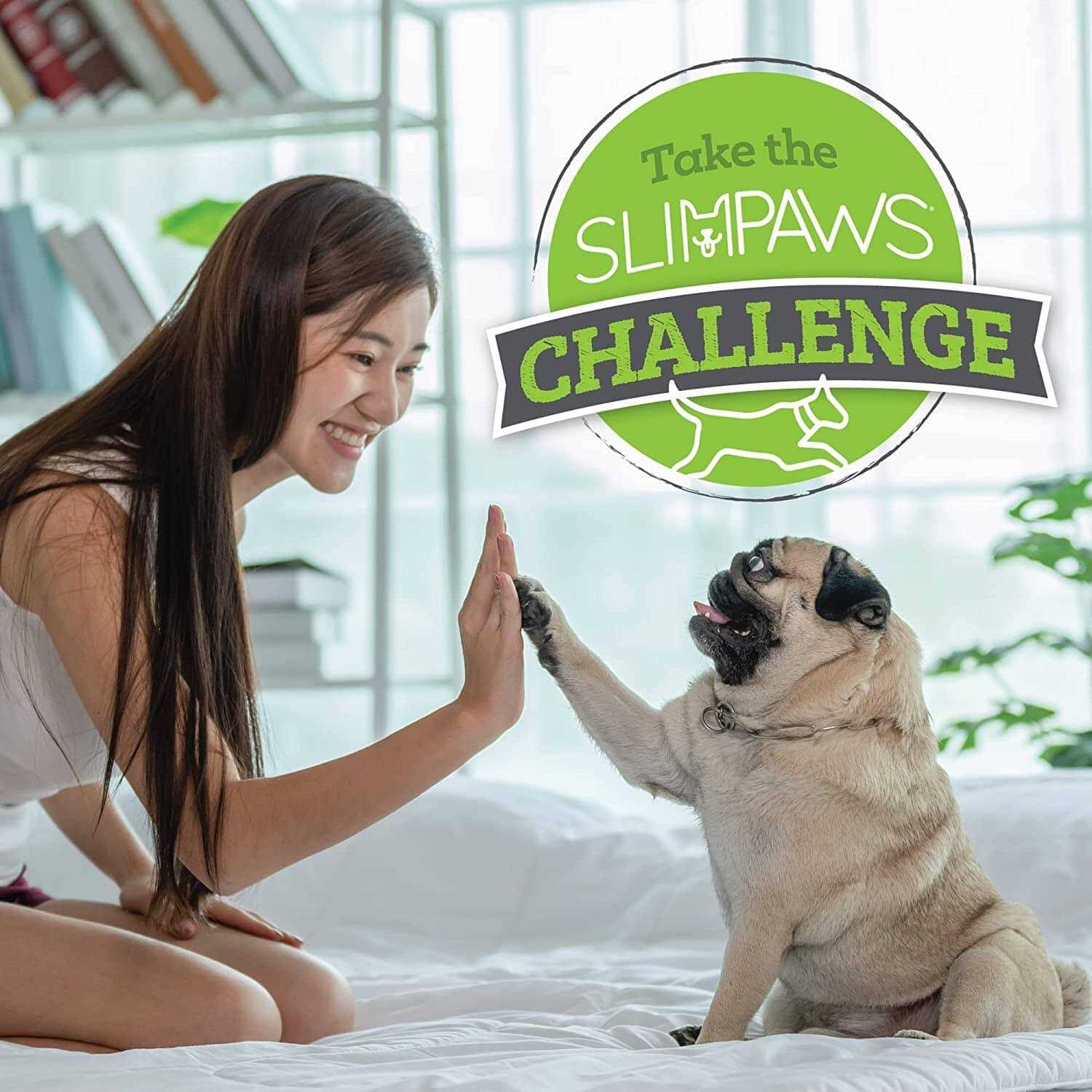 SlimPaws Weight Loss Soft Chews for Dogs 60 ct - Healthber