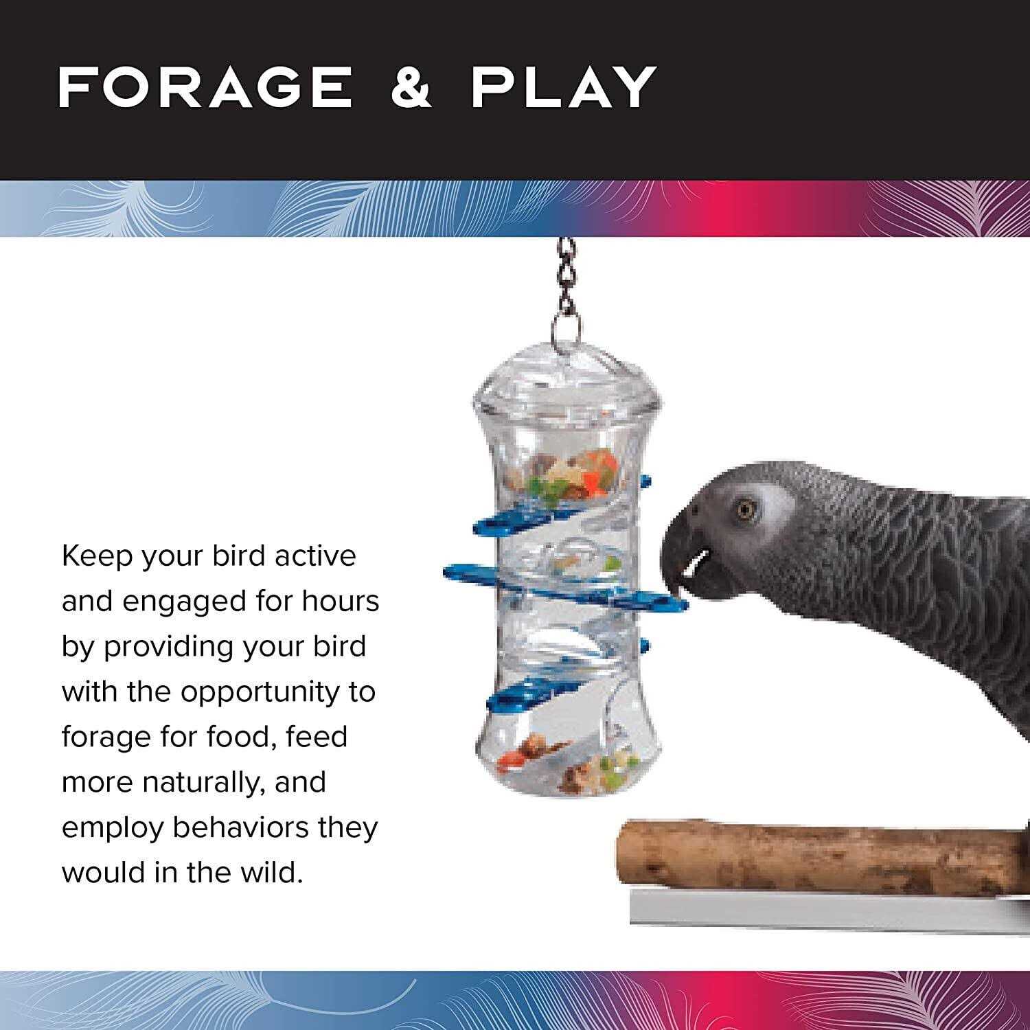 Caitec Foraging Push and Pull - Healthber