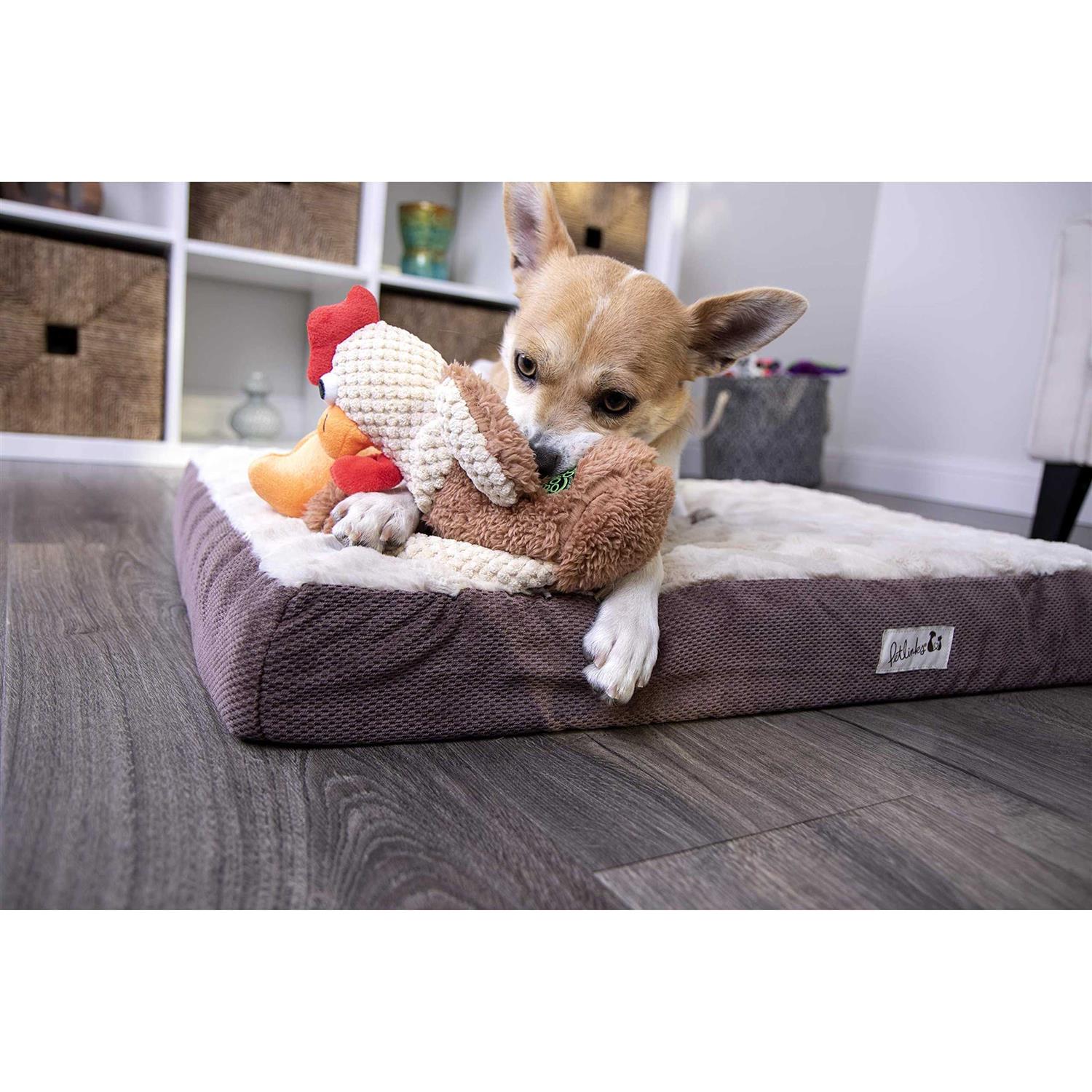 goDog Checkers Chew Guard Skinny Rooster Dog Toy - Healthber