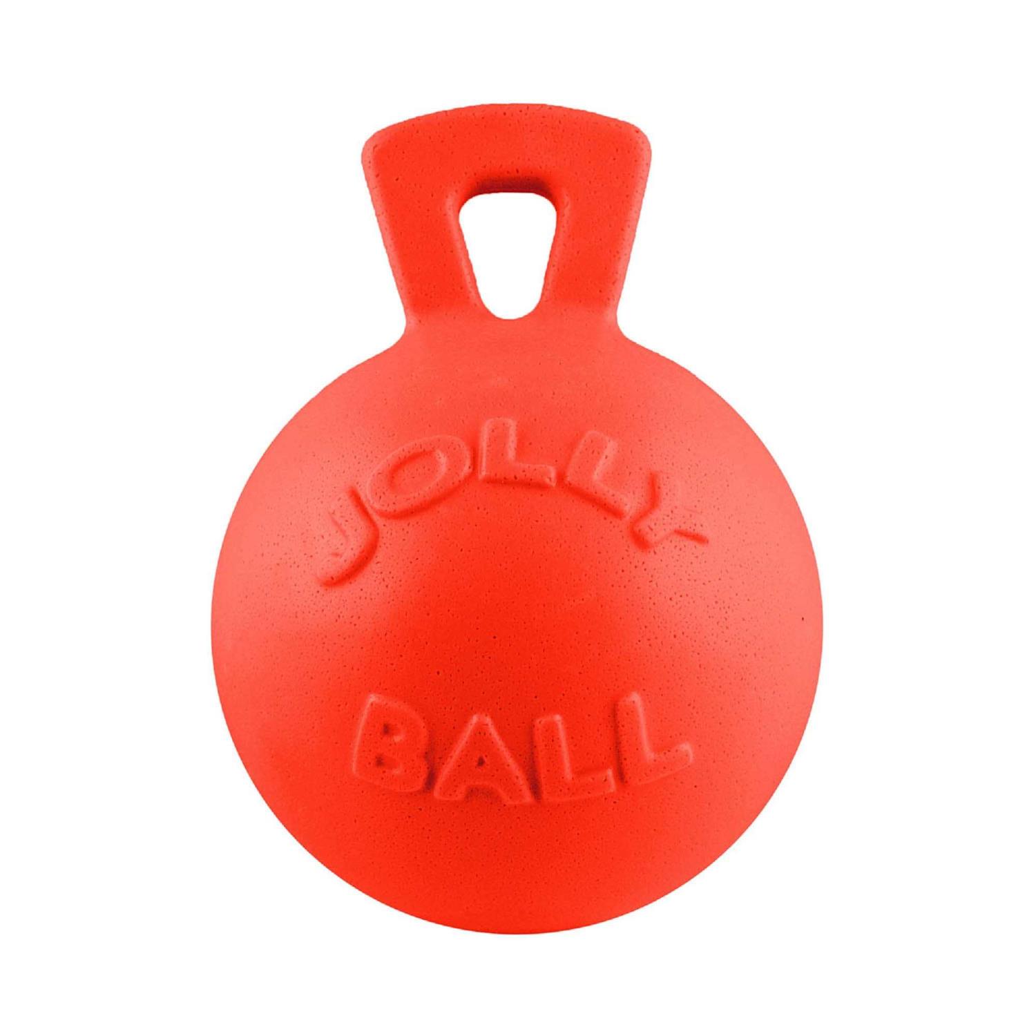 Jolly Pets Dual Jolly Ball - Healthber