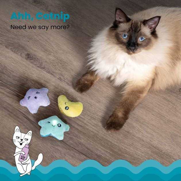Petstages Toss ‘N Twinkle Catnip Cat Toy - Healthber
